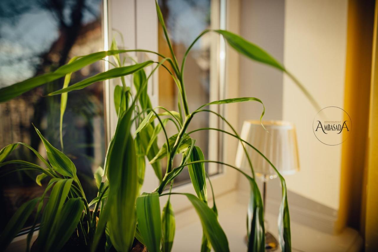 Apartament Ambasada Zamość Екстериор снимка